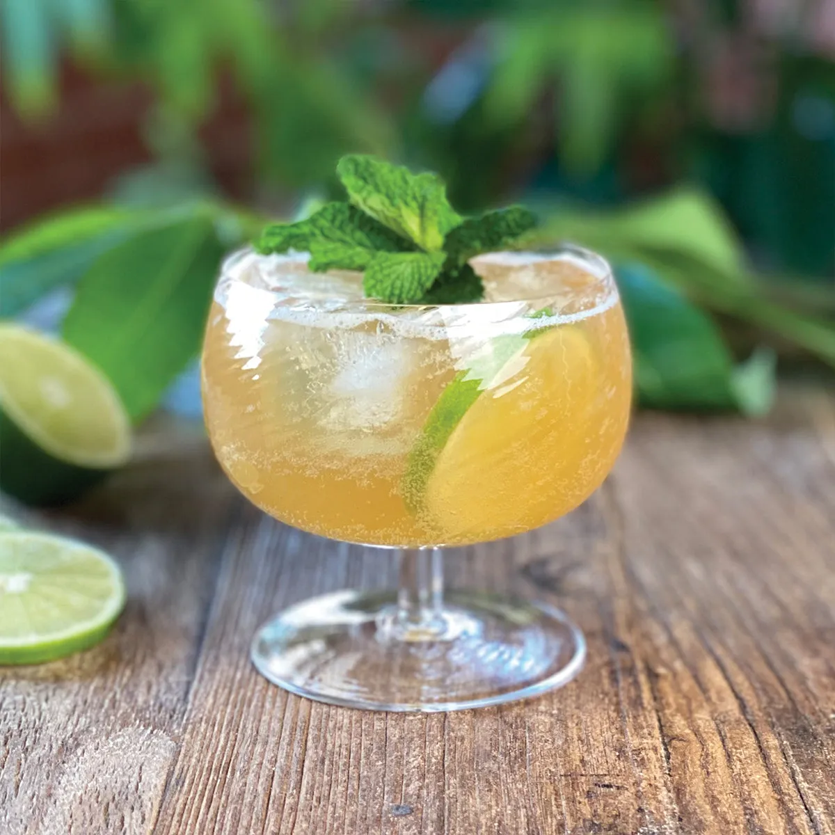 1Pt Cocktail Pack - Island Mule