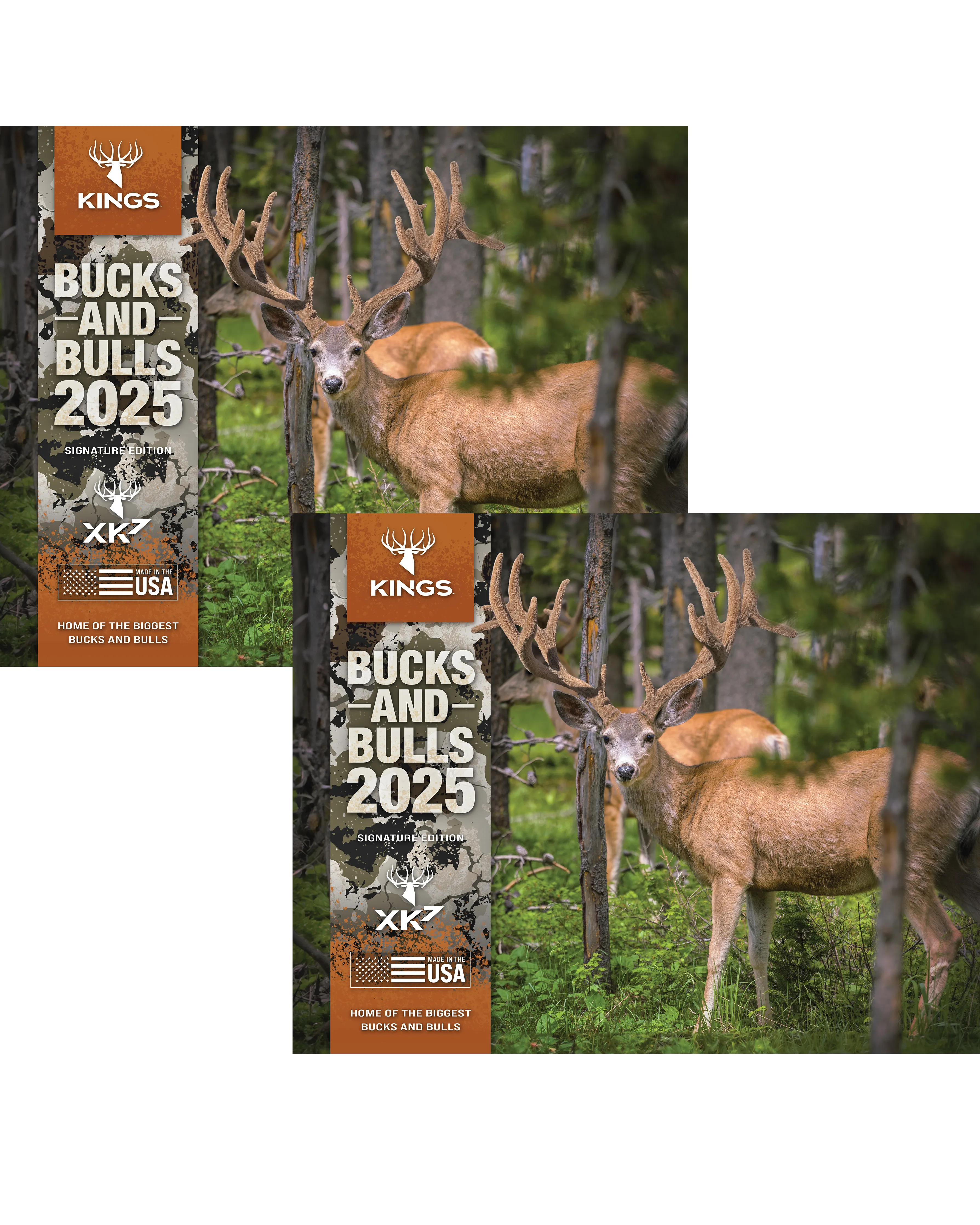 2025 Kings Bucks & Bulls Calendar TWIN PACK