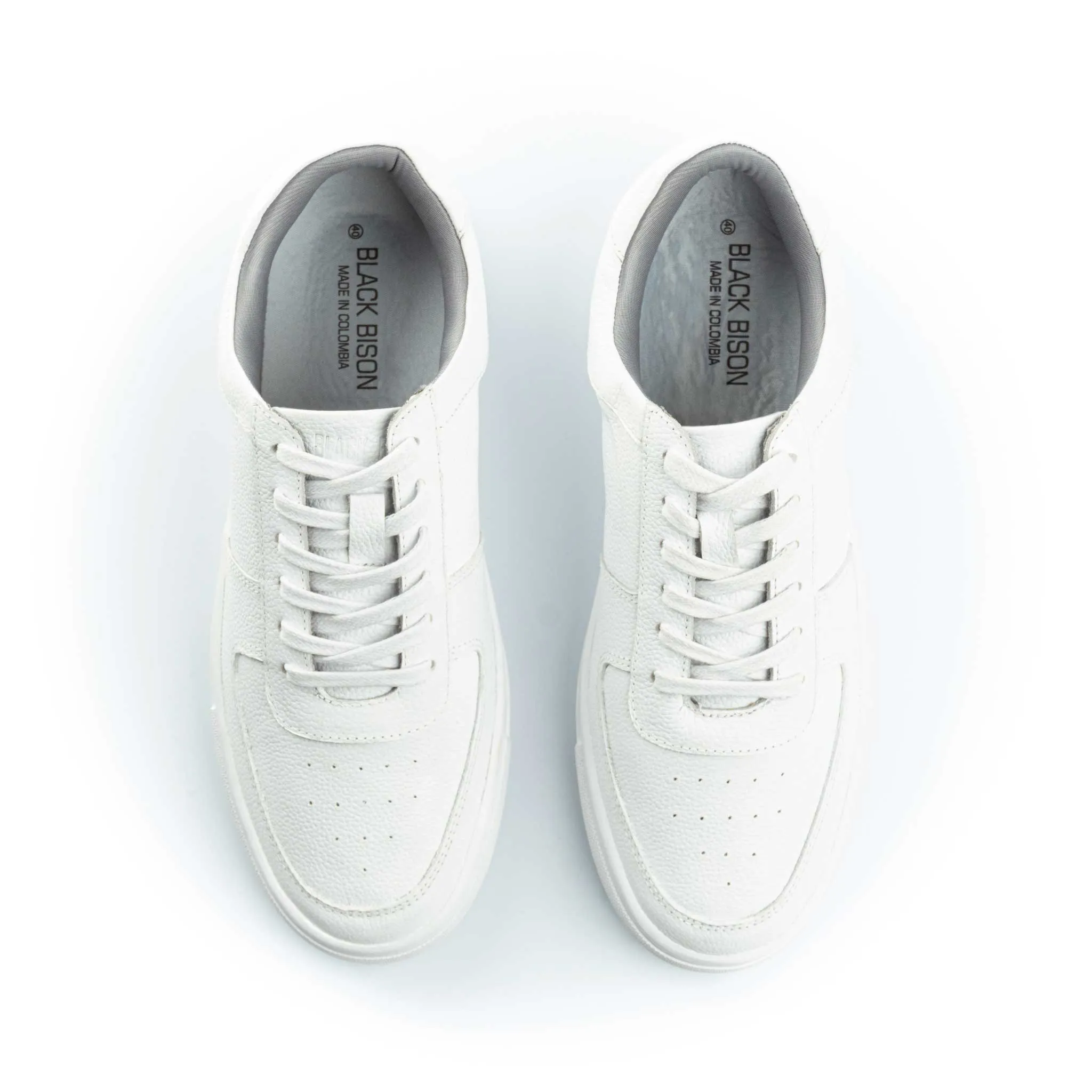 Boreal Blanco