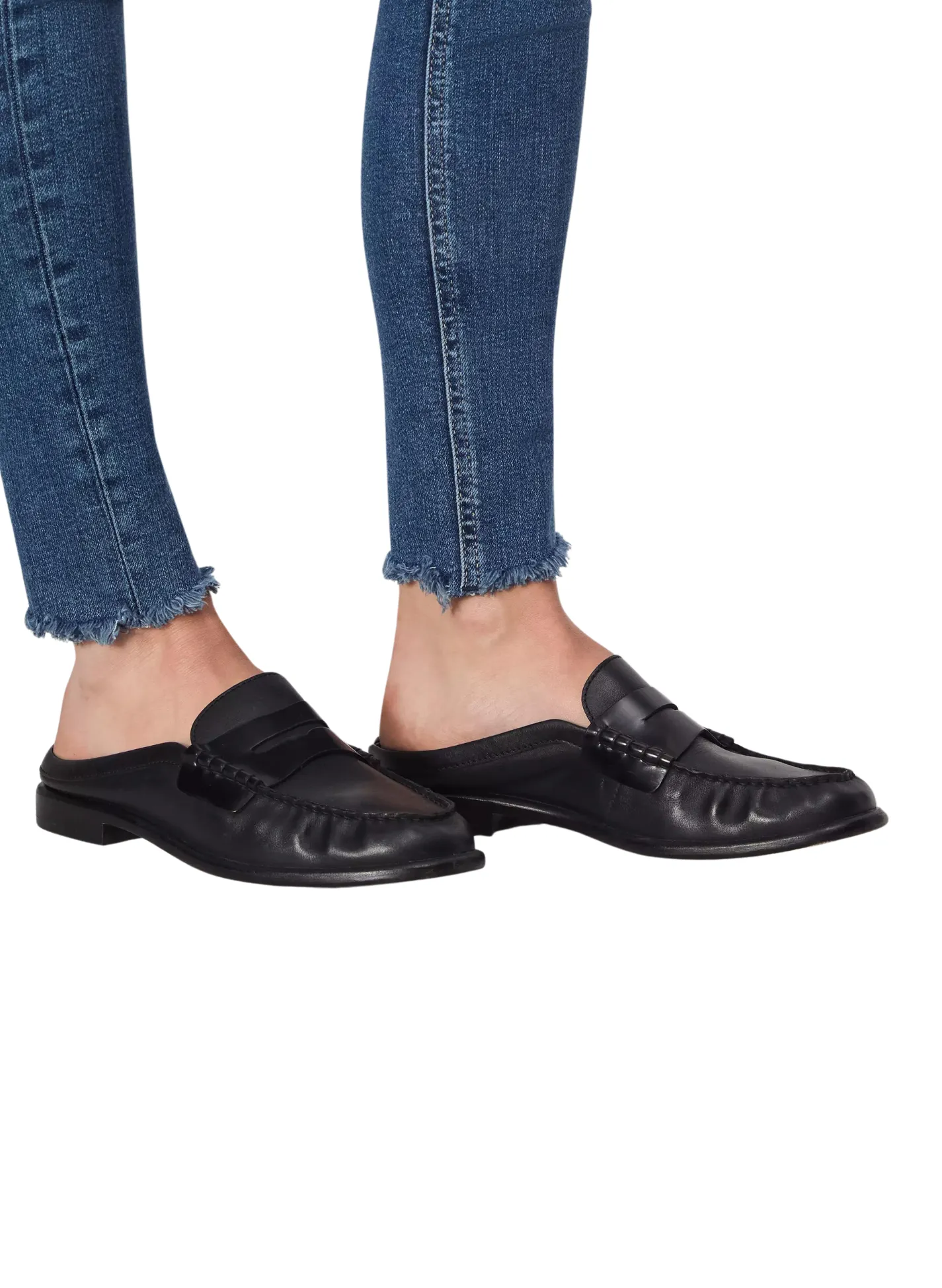 Carter Mule