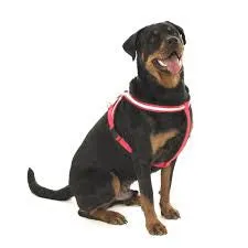 Comfy Harness