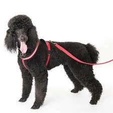 Comfy Harness