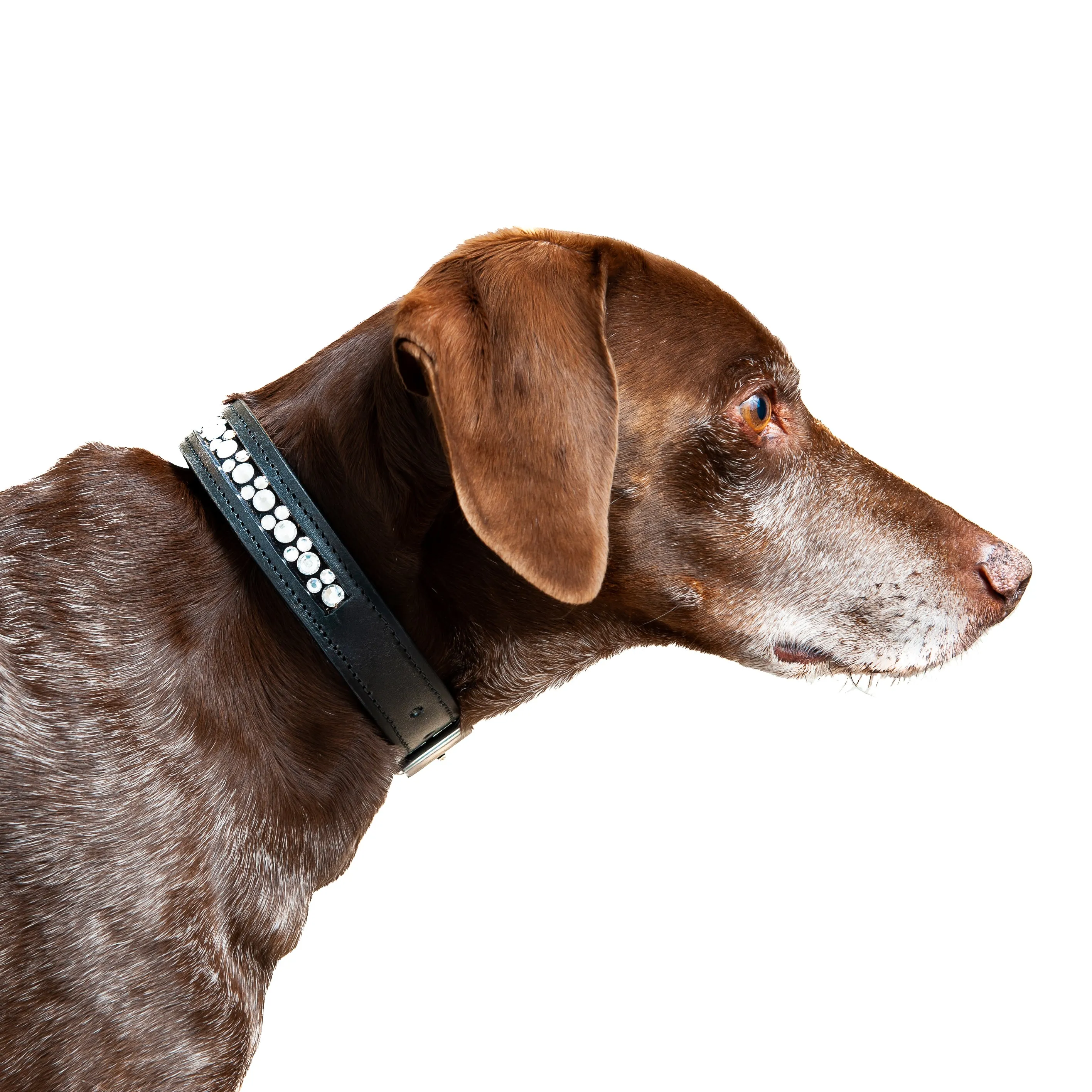 Dog Collar - Padded Leather with Channel Set Crystals - 3 Colors
