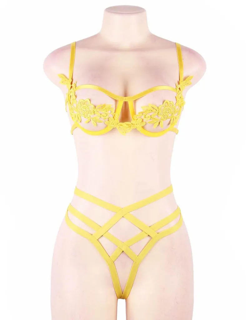 Elegant Embroidery Fashion Bra Set With Steel Ring