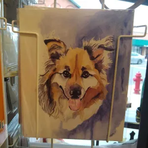 MR-111 Collie