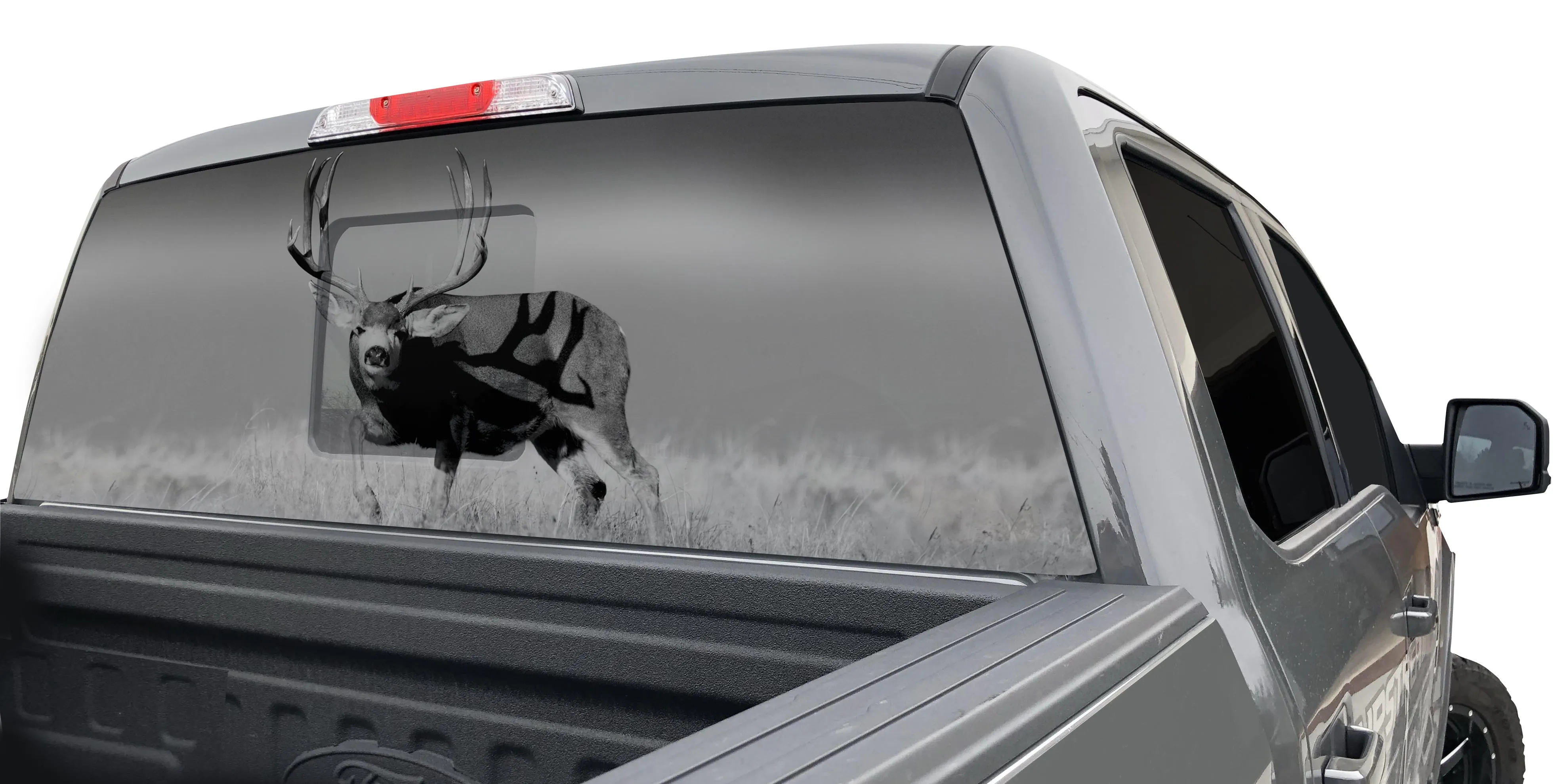 MULE DEER ON HORIZON WINDOW GRAPHIC