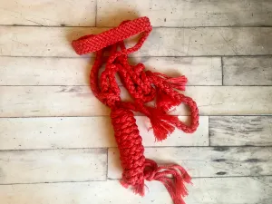 Nylon Muletape Halters