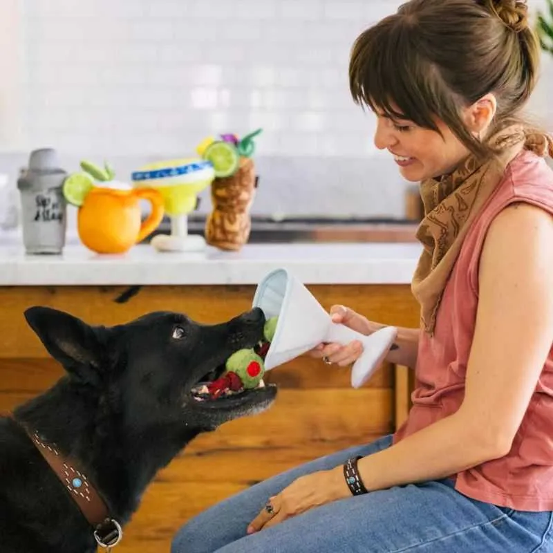 Pawtini Dog Toy