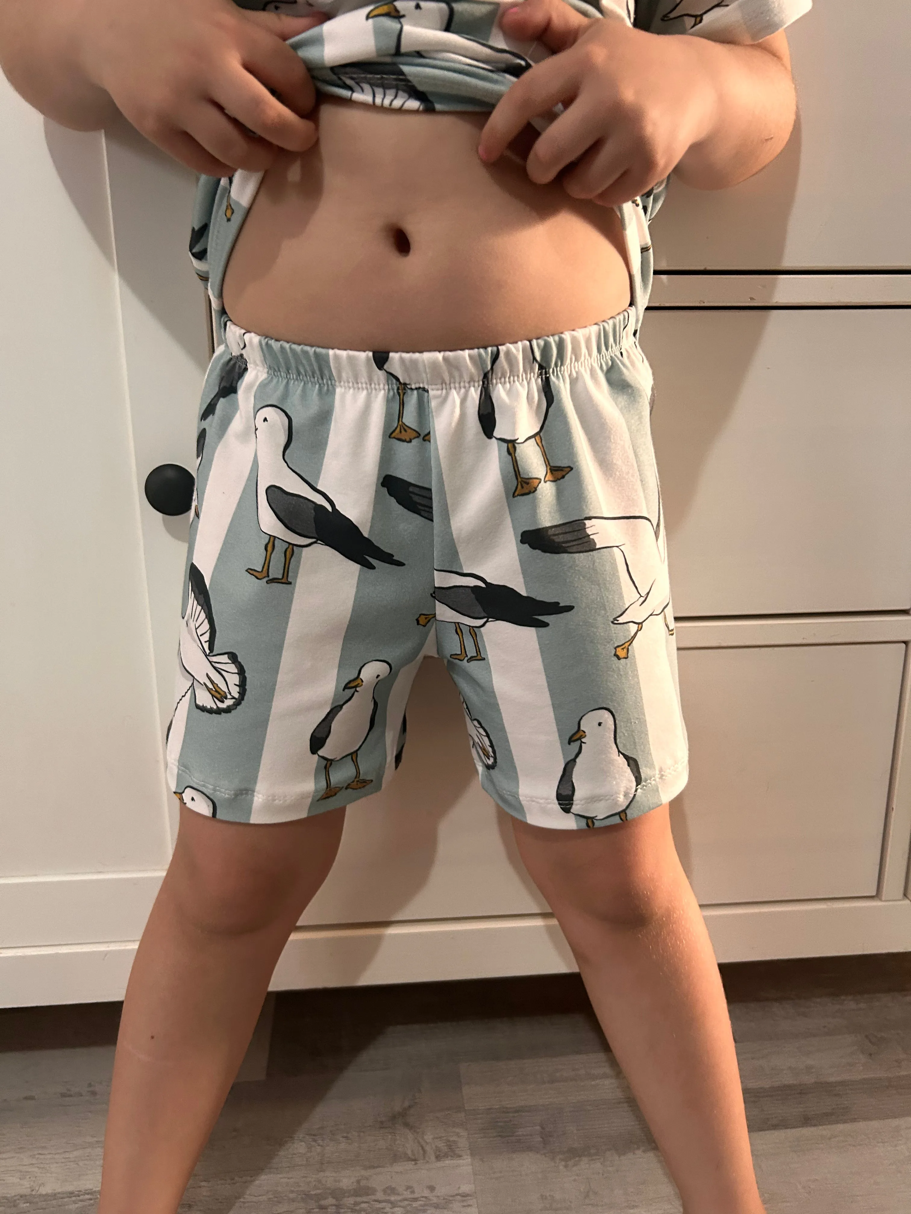 Seaside Seagulls Comfy Shorts
