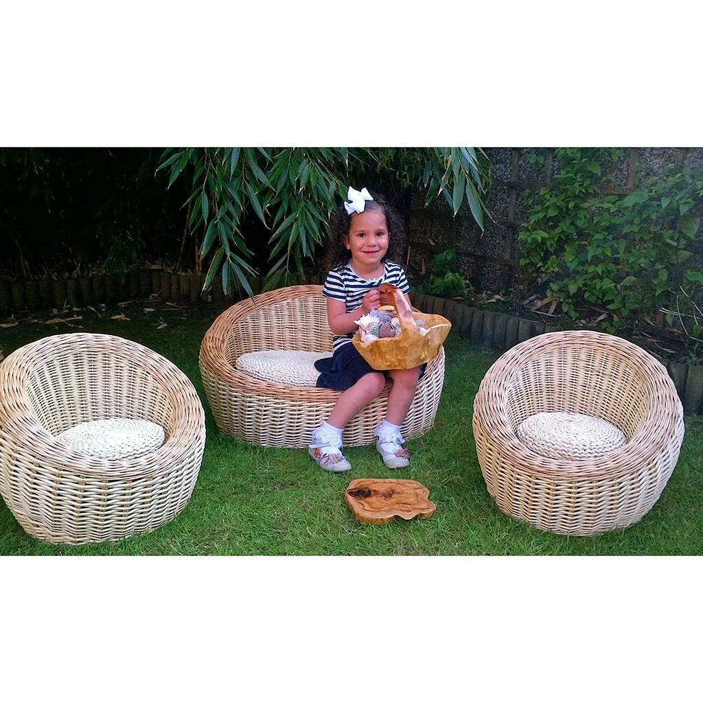 Willow Sofa and Chair Set