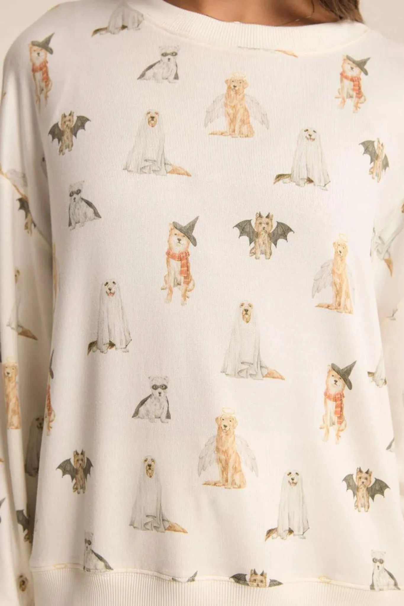 Z Supply: Hey Boo Dog Long Sleeve Top